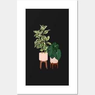House Plants Illustration  29 Posters and Art
